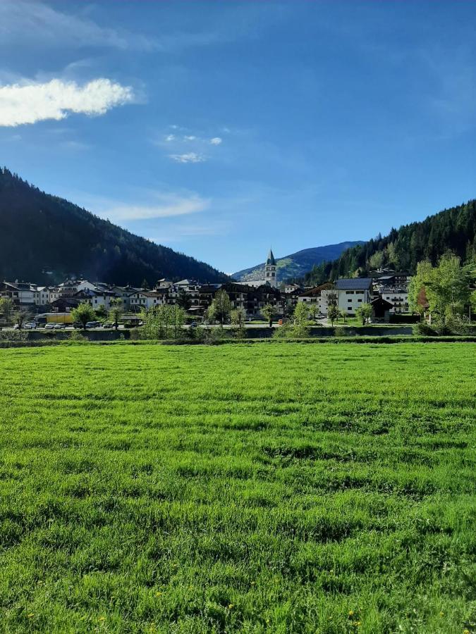 Hirsch Haus Apartment Santo Stefano Di Cadore Exterior photo